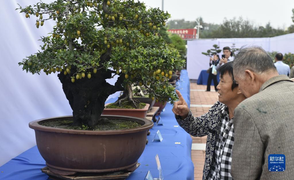有个游戏平台送6元首充